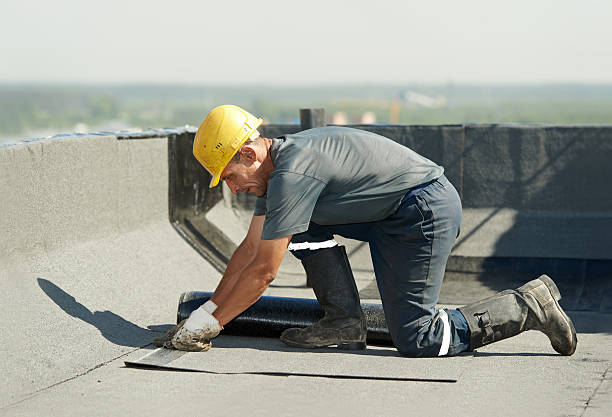 Best Cellulose Insulation in Cypress, CA